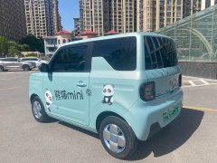 Geely Panda Mini 200km Endurance Edition - ფოტო 4