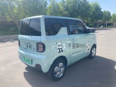 Geely Panda Mini 200km Endurance Edition - ფოტო 5