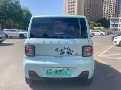 Geely Panda Mini 200km Endurance Edition - ფოტო 6