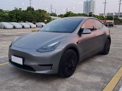 Tesla Model Y Rear-Wheel Drive - ფოტო 1