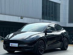 Tesla Model Y Performance All-Wheel Drive - ფოტო 1