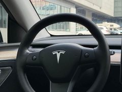 Tesla Model Y Performance All-Wheel Drive - ფოტო 3