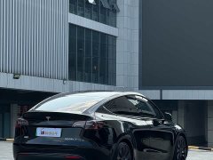 Tesla Model Y Performance All-Wheel Drive - ფოტო 9
