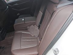 BMW 5 Series Facelift 530Li Premier M Sport Package - ფოტო 18