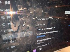 Tesla Model 3 Rear-Wheel Drive - ფოტო 8