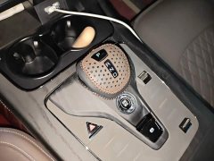 BYD Han 2020 DM AWD Performance Luxury Edition - ფოტო 15