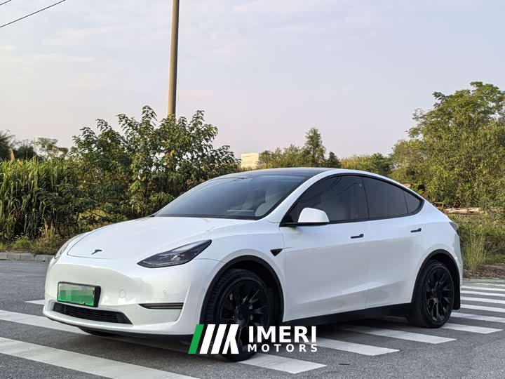 Tesla Model Y 2022 Facelift Rear-Wheel Drive - ავტომობილი ჩინეთიდან
