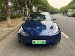 Tesla Model Y Standard Range RWD - ფოტო 1