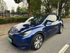 Tesla Model Y Standard Range RWD - ფოტო 2