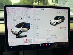 Tesla Model Y Standard Range RWD - ფოტო 9