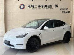 Tesla Model Y Rear-Wheel Drive - ფოტო 1