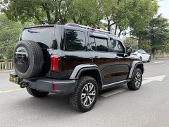 Tank 300 Urban Edition 2.0T Essential - ფოტო 10