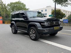 Tank 300 Urban Edition 2.0T Essential - ფოტო 3