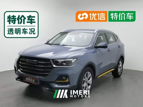 2021 Haval H6 National Trend 1.5T Automatic Champion Edition - ავტომობილი ჩინეთიდან