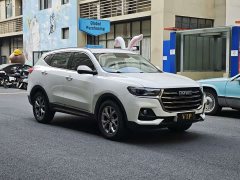 Haval H6 2021 1.5T Automatic Champion Edition - ფოტო 3