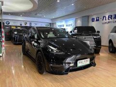 Tesla Model Y Standard Range RWD - ფოტო 1