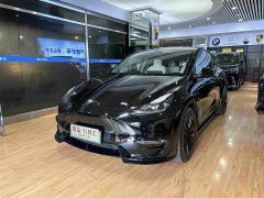 Tesla Model Y Standard Range RWD - ფოტო 3