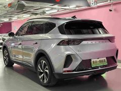 Arcfox Alfa T 2023 480E Forest Edition 160kW - ფოტო 4