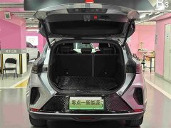 Arcfox Alfa T 2023 480E Forest Edition 160kW - ფოტო 6