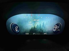 Arcfox Alfa T 2023 480E Forest Edition 160kW - ფოტო 9