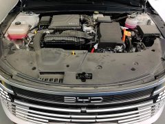 BYD Destroyer 05 Glory Edition DM-i 55KM Luxury - ფოტო 10
