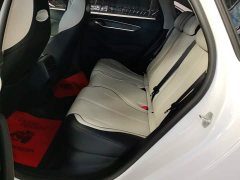 BYD Destroyer 05 Glory Edition DM-i 55KM Luxury - ფოტო 11