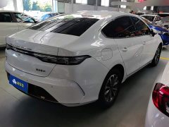 BYD Destroyer 05 Glory Edition DM-i 55KM Luxury - ფოტო 3
