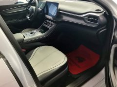 BYD Destroyer 05 Glory Edition DM-i 55KM Luxury - ფოტო 8