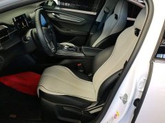 BYD Destroyer 05 Glory Edition DM-i 55KM Luxury - ფოტო 9