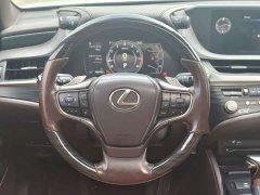 Lexus ES 200 Premium Edition - ფოტო 14