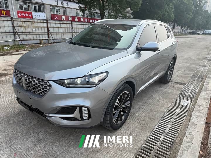 Great Wall WEY VV6 2.0T Two-Wheel Drive Smart Protection - ავტომობილი ჩინეთიდან