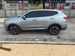 Great Wall WEY VV6 2.0T Two-Wheel Drive Smart Protection - ფოტო 5