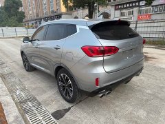 Great Wall WEY VV6 2.0T Two-Wheel Drive Smart Protection - ფოტო 9
