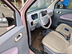 Dongfeng MINIEV Edition - ფოტო 17