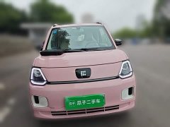 Dongfeng MINIEV Edition - ფოტო 2