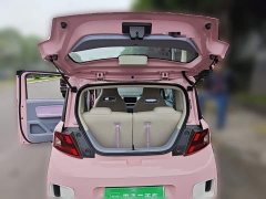 Dongfeng MINIEV Edition - ფოტო 20