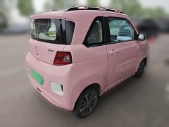 Dongfeng MINIEV Edition - ფოტო 6