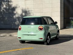Changan Lumin 210km Sweet Edition - ფოტო 17