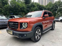 Great Wall Dachshund 1.5T DCT Two-Wheel Drive Labrador Edition - ფოტო 1