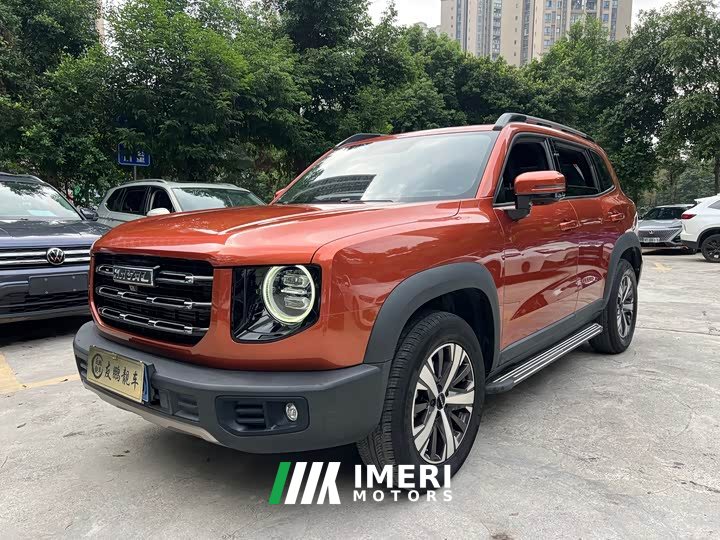 Great Wall Dachshund 1.5T DCT Two-Wheel Drive Labrador Edition
