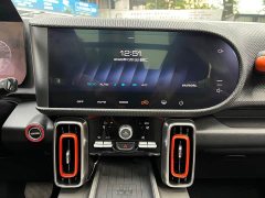 Great Wall Dachshund 1.5T DCT Two-Wheel Drive Labrador Edition - ფოტო 12