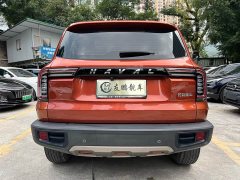 Great Wall Dachshund 1.5T DCT Two-Wheel Drive Labrador Edition - ფოტო 18