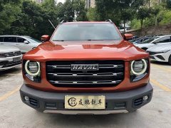 Great Wall Dachshund 1.5T DCT Two-Wheel Drive Labrador Edition - ფოტო 2