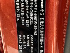 Great Wall Dachshund 1.5T DCT Two-Wheel Drive Labrador Edition - ფოტო 20
