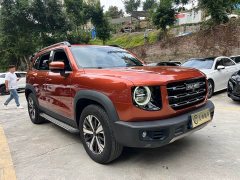 Great Wall Dachshund 1.5T DCT Two-Wheel Drive Labrador Edition - ფოტო 3