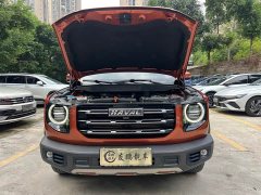 Great Wall Dachshund 1.5T DCT Two-Wheel Drive Labrador Edition - ფოტო 4