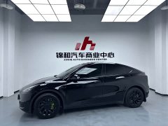 Tesla Model Y Rear-Wheel Drive - ფოტო 5