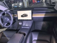 Tesla Model 3 Performance All-Wheel Drive - ფოტო 9