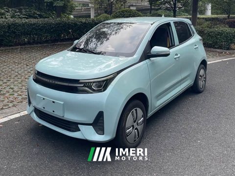 2022 Ledin Mango Edition - car from China