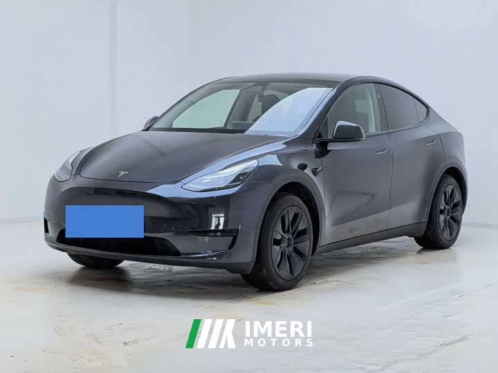 Tesla Model Y Rear-Wheel Drive